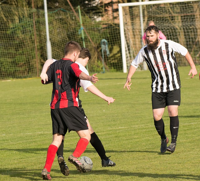 成功制止了 成功制止了