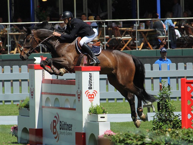 俱乐部杯冠 俱乐部杯冠