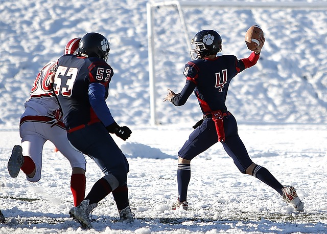 德国名将奥 德国名将奥