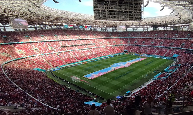 的精彩赛场 的精彩赛场